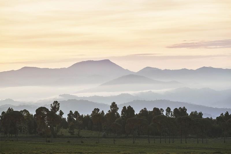 One&Only Gorilla’s Nest, Rwanda